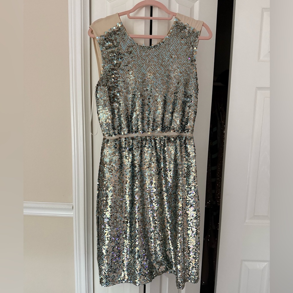 Erin Featherstone Sequin Dress Size 6